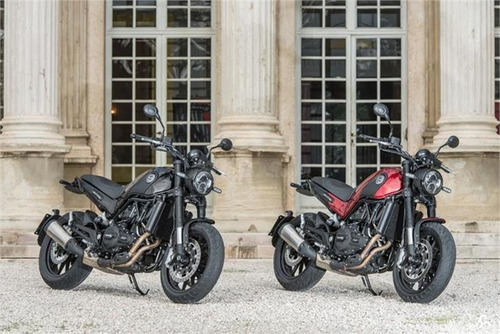 Benelli Leoncino 500cc. Gris Agrobikes