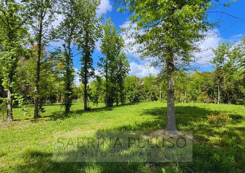 Lotes En Venta Moreno - La Reja