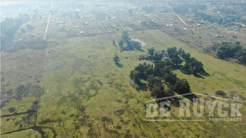 Campo En Venta En Guernica