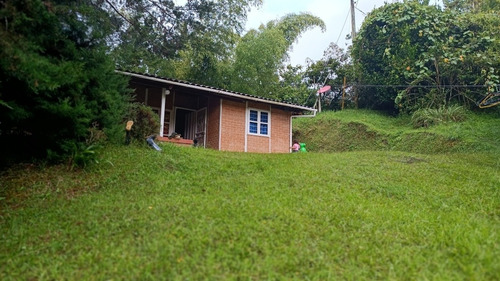 Imagen 13 de 30 de Finca En El Peñol Antioquia 7500 Mts Cuadrados. Escrituras Al Día.
