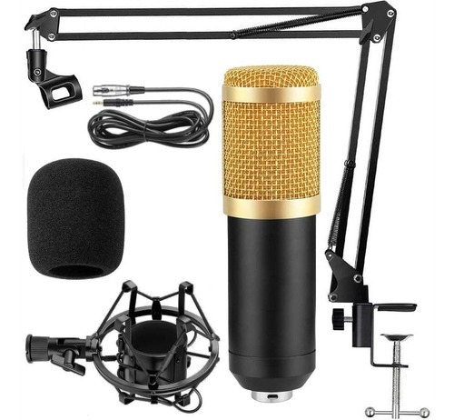 Microfono Condensador Estudio Profesional Voz Y Musica