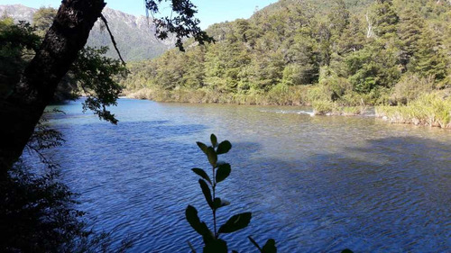 Gran Predio Cordillerano //  Bosque Nativo (4728)