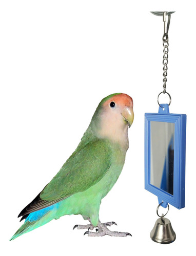 Espejos Acrílicos De Juguete Con Campanas, Loros, Espejo Par