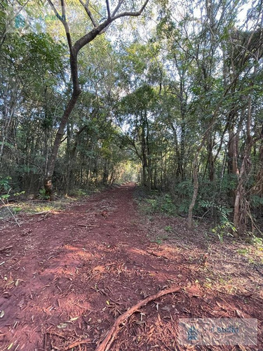 Imagen 2 de 2 de Se Vende Campo Yerbatero 180 Ha- Garupa