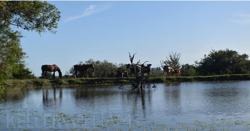 Se Vende Chacra Maldonado Pueblo Edén 11 Has Usd 140000