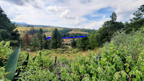 Hermoso Rancho De 10 Hectáreas Con Casa