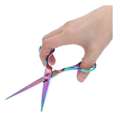 Set De Herramientas De Peluquería Profesional Salon Scissors