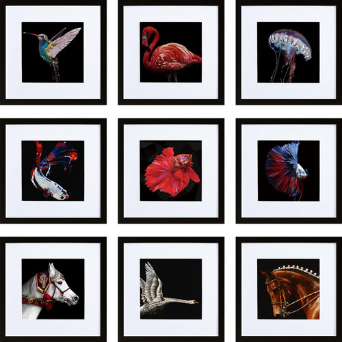 Set De Marcos De Fotos Con Forma De Corazón, 12 X 12 Cm, Col