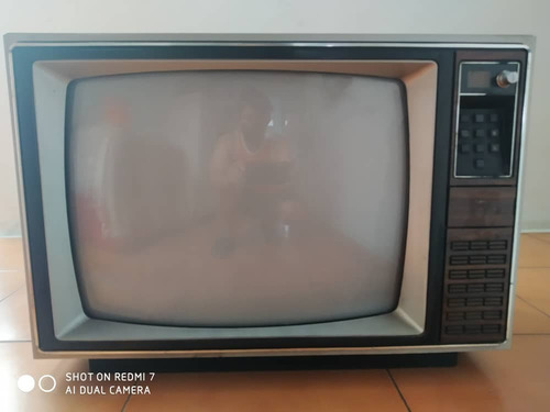 Imagen 2 de 10 de Televisores Culones 100% Activos Aproveche Casa O Negocio