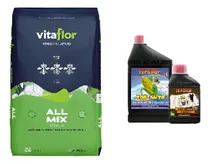 Comprar Terrafertil Vitaflor All Mix 50l Top Deeper 250 Top Auto 1lt