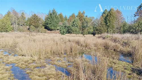 Sitio 5000 Mt2 En Venta En Villarrica
