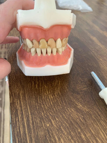 Imagem 2 de 5 de Manequim Odontologico Dental Art