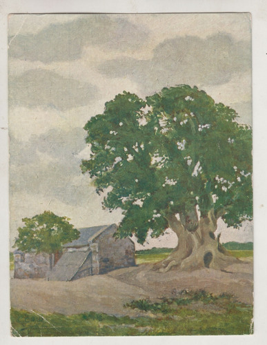 1914 Uruguay Postal Dia Del Arbol Texto Zorrilla San Martin