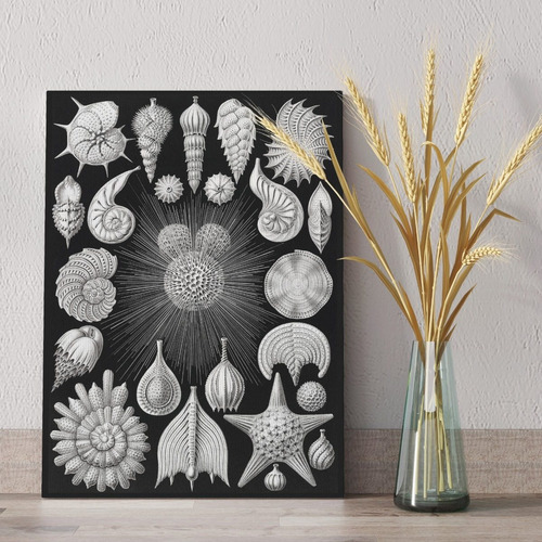 Set De Cuadros Vintage Láminas Arte Mapas De 50x40cm 3 Pz