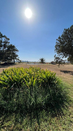 Imagen 11 de 15 de Campo En San Pedro