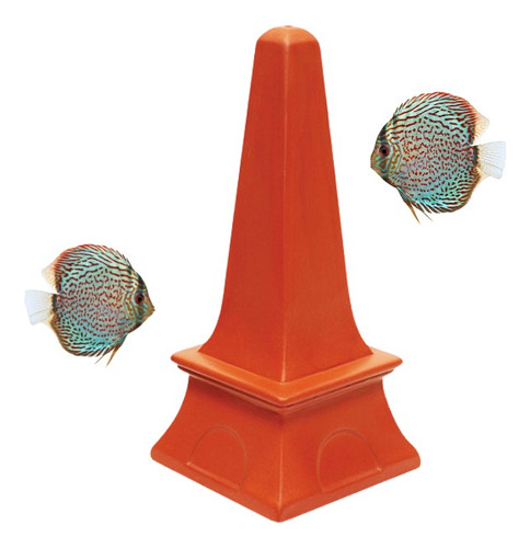Cono Desove Peces Discus Reproducción Crías Alevines Acuario