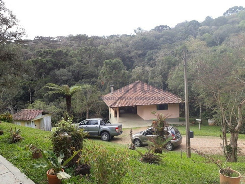 Chacara - Curralinho - Ref: 2387 - V-2387