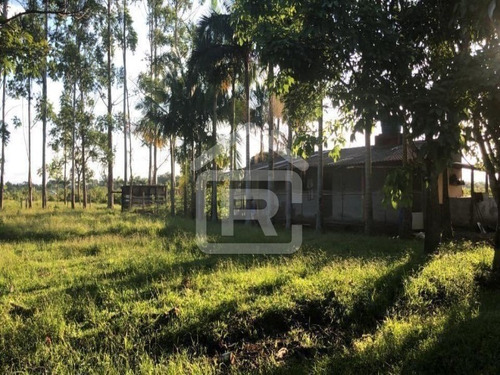 Imagem 25 de 30 de Sitio Com Topografia Plana, Totalmente Limpo, Ótimo Para Plantação Ou Criação De Gados. - 37 - 70344663
