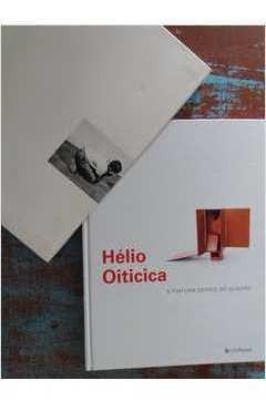 Hélio Oiticica - A Pintura Depois Do Quadro De Luciano Fi...