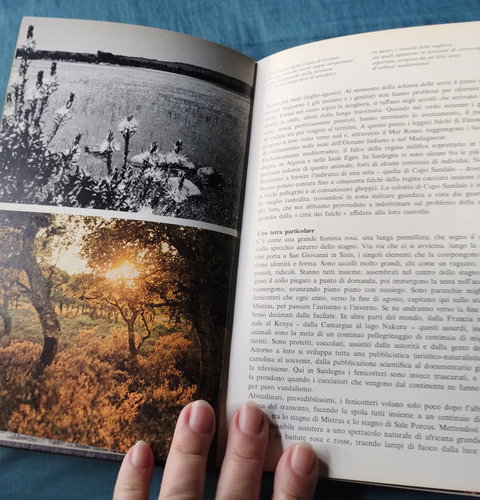 Libro Il Mediterraneo Egidio Gavazzi Renata Massa Usado (Usado)
