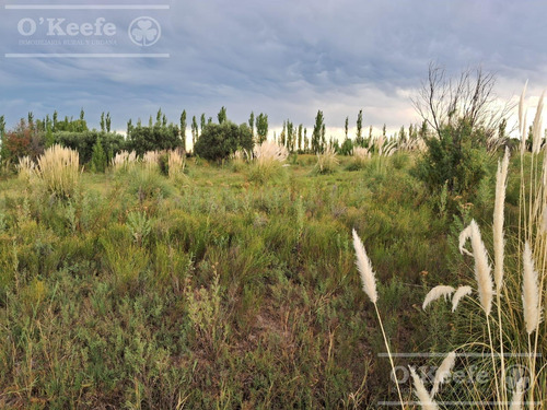 Oportunidad Venta De 2 Fincas Aledañas En Cañada Seca , San Rafael , Mendoza. Frutihorticola, Forrajes, Turismo,