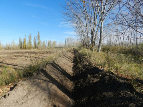 Imagen 9 de 14 de Chacra De 25 Hectáreas En 25 De Mayo - La Pampa