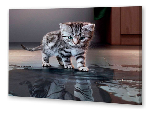 Cuadro 16x24cm Gato 14 Gato Bebe Reflejo Agua