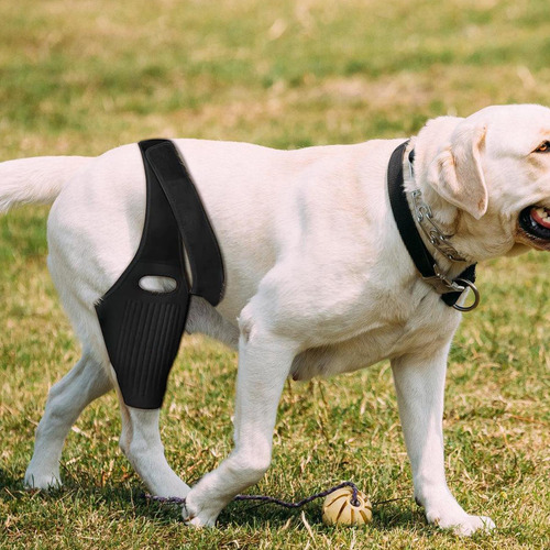 Rodillera Para Perros Soporte Para Patas Traseras De Perros