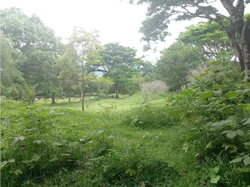 Vendo Lotes En La Pintada Con Vista A Farallones Desde 2.703 M²