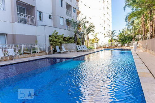 Apartamento À Venda - Jardim São Saverio, 2 Quartos, 72 - S893083299