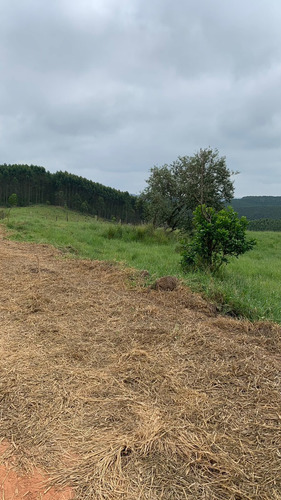 Imagem 5 de 21 de E12- Terrenos Com Playground