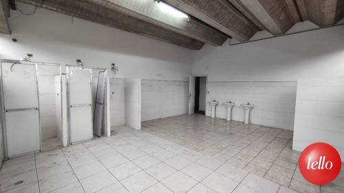 Imagem 19 de 30 de Comercial/industrial - Ref: 140593
