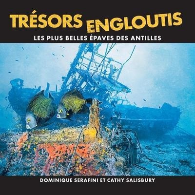 Tresors Engloutis : Les Plus Belles Epaves Des Antilles -...