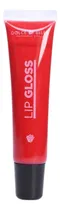 Comprar Lip Gloss Brillo De Labios Colapsible Dolce Bella