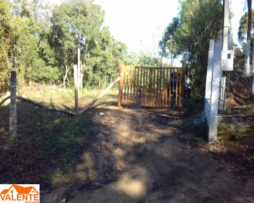 Imagem 2 de 8 de Chacara - Ch00024 - 69487829