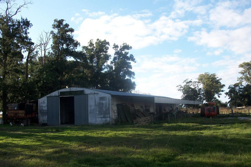 Imagen 19 de 30 de Campo En Venta En Arditti | Ruta 11-km.57 (110 Has)