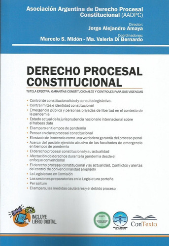 Derecho Procesal Constitucional Amaya 