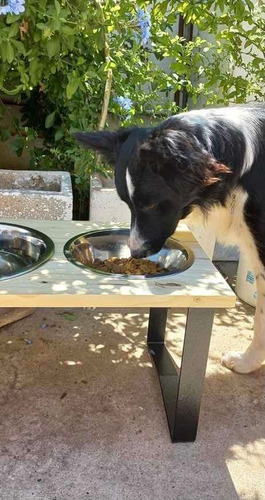 Imagen 3 de 7 de Comedero Perros En Altura Triple Grande