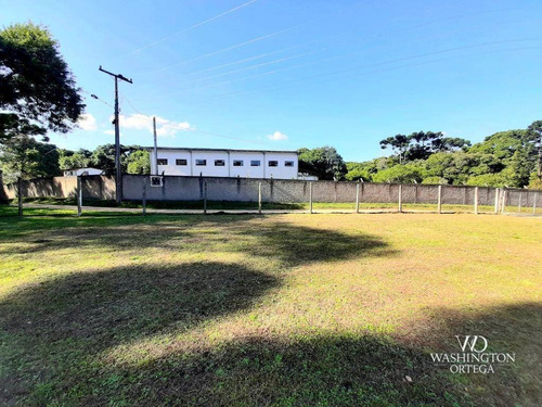 Imagem 7 de 20 de Chácara À Venda, 7301 M² Por R$ 605.000,00 - Borda Do Campo - São José Dos Pinhais/pr - Ch0069