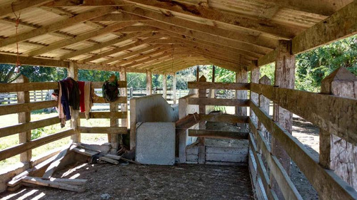 Vendo Rancho Ganadero 223 Hectáreas Temapache Veracruz