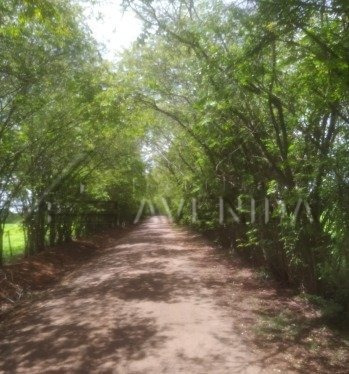 Imagem 10 de 15 de Area - Area Rural De Cambe - Ref: 10356 - V-10356
