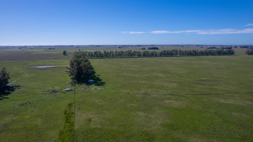 Campo En Venta Mixto 188ha San Andres De Giles