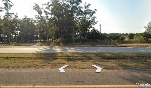 Imagen 3 de 10 de Venta 81% De Terreno
