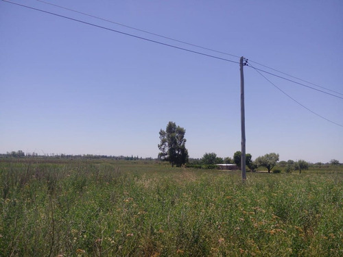 Imagen 18 de 24 de Predio Urbano/rural S. Rafael Las Malvinas Mendoza