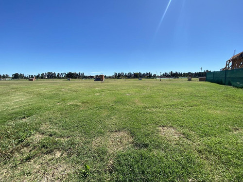 Imagen 8 de 12 de ¡oportunidad! Lote A La Laguna - Santa Ana Villanueva - Tigre - 638 M2 - Apto Para Construir Ya!