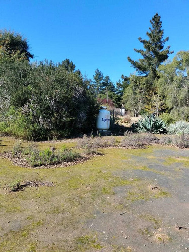 Algarrobo (120519)