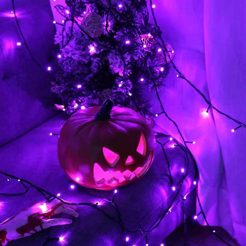 2 Luces Solares Moradas Halloween, 100 Led, 42.7 Pies, ...
