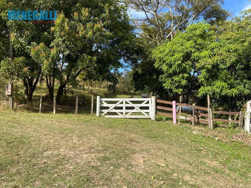 Imagem 3 de 17 de Chácara - Floresta Escura - São Pedro/sp - Ch0069