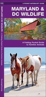 Maryland And Dc Wildlife : A Folding Pocket Gu (original)