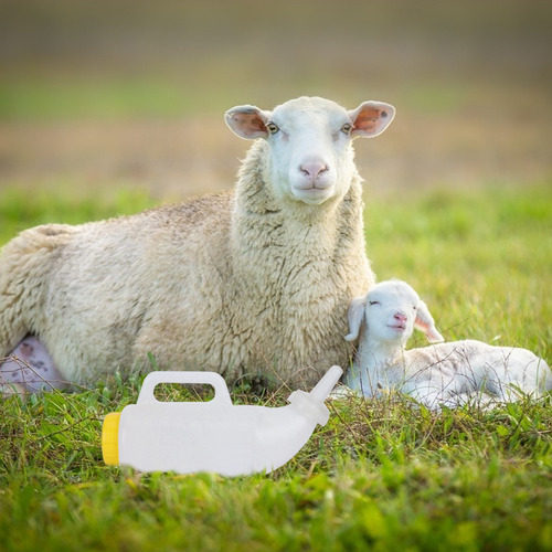 Alimentador De Leche De Cabra Para Bebés, Biberón Grueso Par
